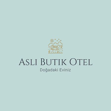 Asli Boutique Hotel Акбюк Екстер'єр фото